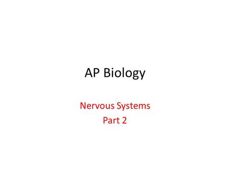 AP Biology Nervous Systems Part 2. Animation  7Yk  7Yk.