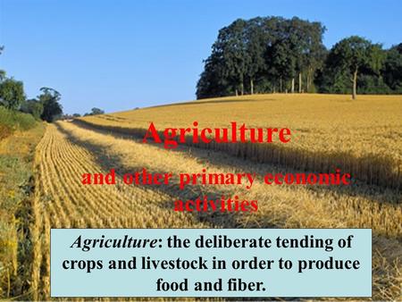 Agriculture and other primary economic activities Agriculture: the deliberate tending of crops and livestock in order to produce food and fiber.