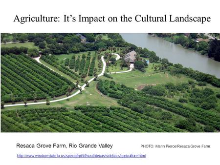 Agriculture: It’s Impact on the Cultural Landscape Resaca Grove Farm, Rio Grande Valley PHOTO: Marin Pierce/Resaca Grove Farm