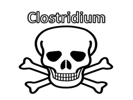 Clostridium is a bacteria that is found in the intestines of both healthy and unhealthy people A very dangerous bacteria Most commonly affects people.