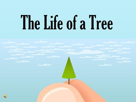 The Life of a Tree. What can you tell me ‘bout the life of a tree? Learning ‘bout a tree teaches me about me!