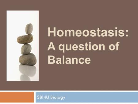 Homeostasis: A question of Balance