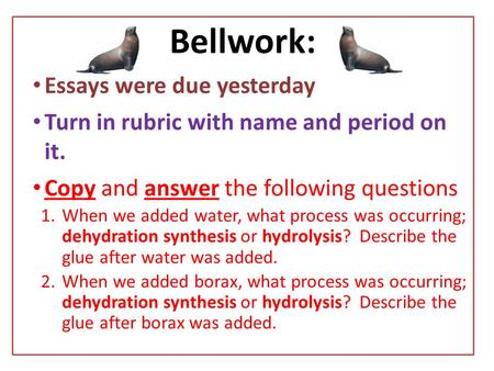 Bellwork: Essays were due yesterday