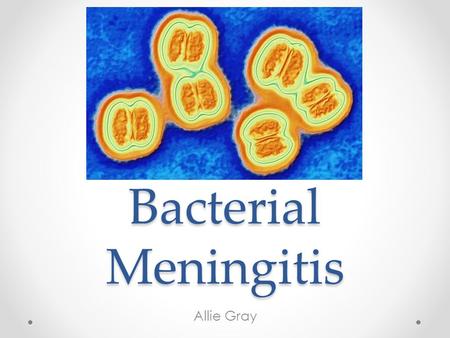 Bacterial Meningitis Allie Gray. Bacterial and Viral Meningitis are very different.