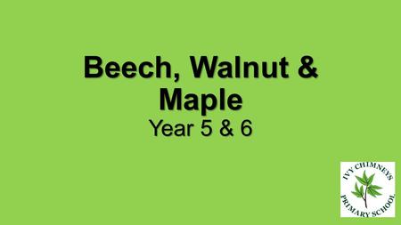 Beech, Walnut & Maple Year 5 & 6. Attendance and Punctuality All children should arrive in school between 8.45 and 8.55 am They should be prepared for.