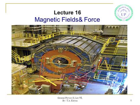 Lecture 16 Magnetic Fields& Force