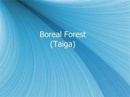 Boreal Forest (Taiga).