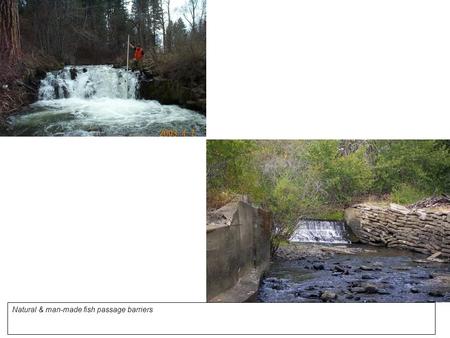 Insert image in the space below, resize image to fill space as much as possible. Natural & man-made fish passage barriers.