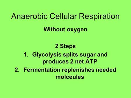 Anaerobic Cellular Respiration Without oxygen 2 Steps 1.Glycolysis splits sugar and produces 2 net ATP 2.Fermentation replenishes needed molceules.