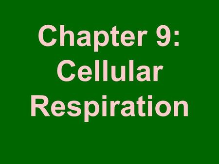 Chapter 9: Cellular Respiration. Nutrition Energy in most food originally comes from the sun 2 ways to get food –Autotrophs or Producers Make their own.