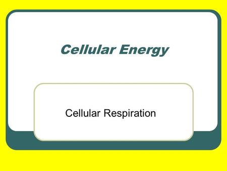 Cellular Energy Cellular Respiration.