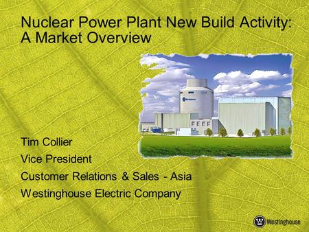 Nuclear Power Plant New Build Activity: A Market Overview