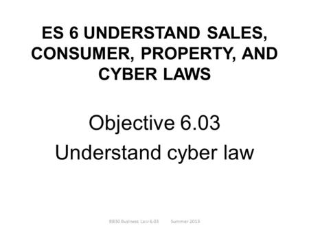 ES 6 UNDERSTAND SALES, CONSUMER, PROPERTY, AND CYBER LAWS Objective 6.03 Understand cyber law BB30 Business Law 6.03Summer 2013.