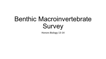 Benthic Macroinvertebrate Survey Honors Biology 13-14.