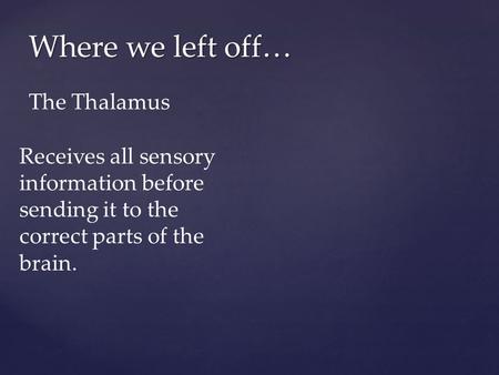 Where we left off… The Thalamus Receives all sensory information before sending it to the correct parts of the brain.