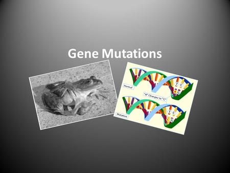 Gene Mutations. What are mutations and where do they occur?