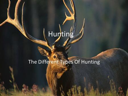 ​ Hunting The Different Types Of Hunting. Bow have been around for a long time The first bow was a long bow – It was c shaped and most of the time was.