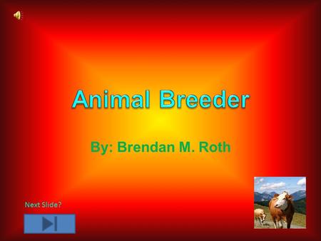 By: Brendan M. Roth Next Slide?. Animal Breeders work with a bunch of different species. They have a range of things to do including: Caring for animals,