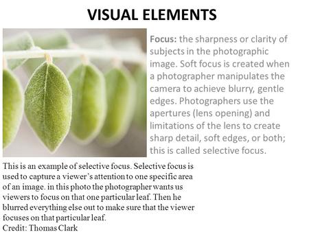 VISUAL ELEMENTS Focus: the sharpness or clarity of subjects in the photographic image. Soft focus is created when a photographer manipulates the camera.