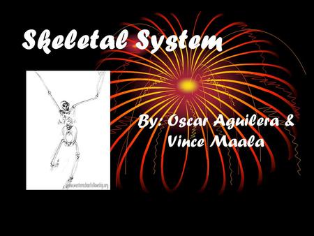 Skeletal System By: Oscar Aguilera & Vince Maala.