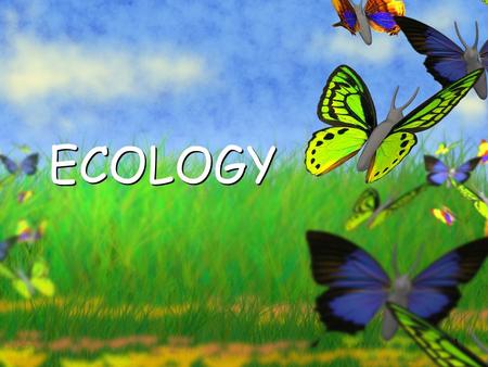 1 ECOLOGY. 2 What is Ecology?? The study of interactions that take place between organisms and their environment.The study of interactions that take place.