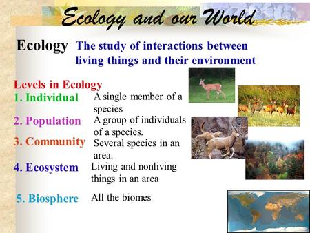 Ecology and our World Ecology The study of interactions between living things and their environment Levels in Ecology 1. Individual A single member of.