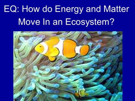 EQ: How do Energy and Matter Move In an Ecosystem?