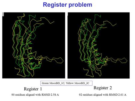 Register problem Green: MocoBD_1C; Yellow: MocoBD_2C Register 1 Register 2 90 residues aligned with RMSD 2.58 A92 residues aligned with RMSD 2.61 A.