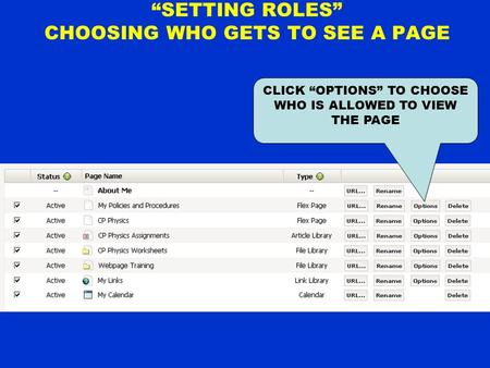 “SETTING ROLES” CHOOSING WHO GETS TO SEE A PAGE CLICK “OPTIONS” TO CHOOSE WHO IS ALLOWED TO VIEW THE PAGE.