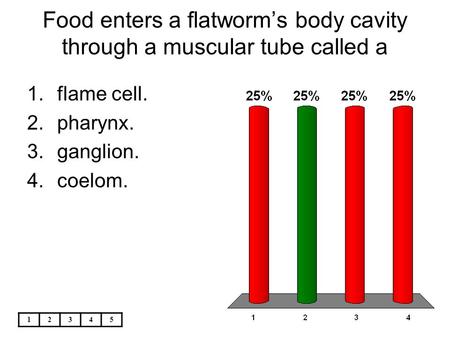Food enters a flatworm’s body cavity through a muscular tube called a