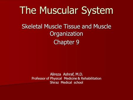 The Muscular System Skeletal Muscle Tissue and Muscle Organization Chapter 9 Alireza Ashraf, M.D. Professor of Physical Medicine & Rehabilitation Shiraz.
