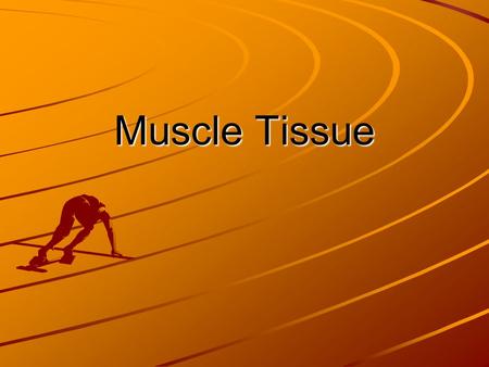 Muscle Tissue. Three Types of Muscle Tissue Skeletal or Striated Muscle –Makes up all muscles that are attached to bones –Contractions allow the organism.