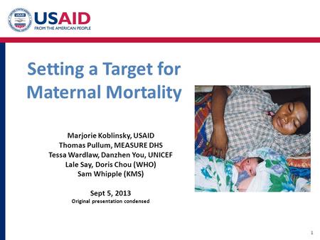 Setting a Target for Maternal Mortality Marjorie Koblinsky, USAID Thomas Pullum, MEASURE DHS Tessa Wardlaw, Danzhen You, UNICEF Lale Say, Doris Chou (WHO)