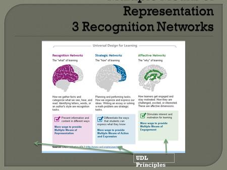 UDL Principles.  “UDL is a research-based set of principles for creating curriculum— including instructional goals, methods, materials, and assessments—that.