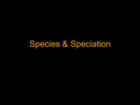 Species & Speciation Morphological Species Concept Species are based on comparison and differences existing in the physical characteristic between.