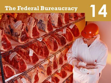 14 The Federal Bureaucracy. 14 Learning Objectives Describe the federal bureaucrats and the ways in which they obtain their jobs Differentiate the four.