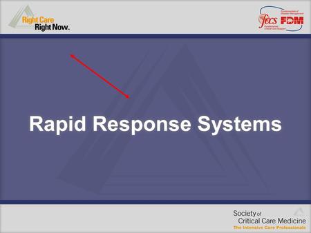 Rapid Response Systems. Critical Care is not a location, it is a process. It takes place not only in the ICU but everywhere.” Dr. Peter Safar, 1974.