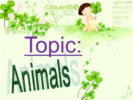 Topic:. Animal pictures A lot of animals koala [kə ʊ ' ɑː lə] I sleep 20 hours everyday, eat food 2 hours, and play games 2 hours. (*^__^*) 嘻嘻.