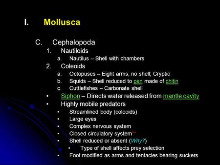 I. I.Mollusca C. C.Cephalopoda 1. 1.Nautiloids a. a.Nautilus – Shell with chambers 2. 2.Coleoids a. a.Octopuses – Eight arms, no shell; Cryptic b. b.Squids.