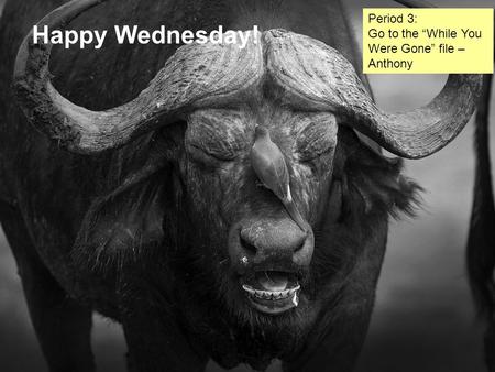 Happy Wednesday! Period 3: Go to the “While You Were Gone” file – Anthony.