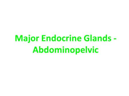 Major Endocrine Glands - Abdominopelvic. Endocrine Glands.