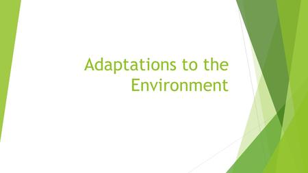 Adaptations to the Environment. Adaptations  Any trait that helps an organism survive in its environment.