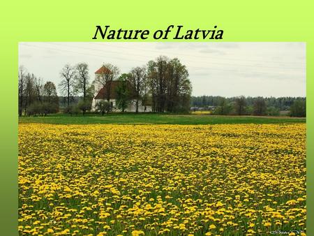 Nature of Latvia. It is typical for Latvia temperate zone landscape with mixed woods people activity influence on nature multishaped flora and fauna undamaged.