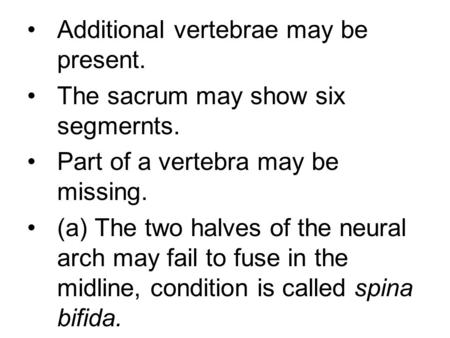 Additional vertebrae may be present.