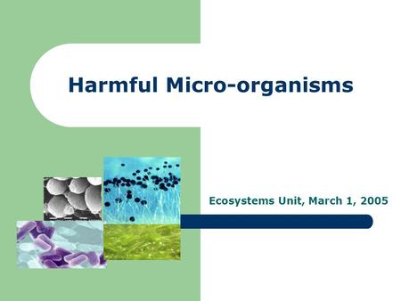 Harmful Micro-organisms Ecosystems Unit, March 1, 2005.