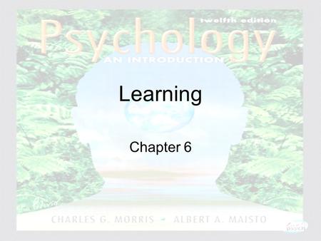 Psychology: An Introduction Charles A. Morris & Albert A. Maisto © 2005 Prentice Hall Learning Chapter 6.
