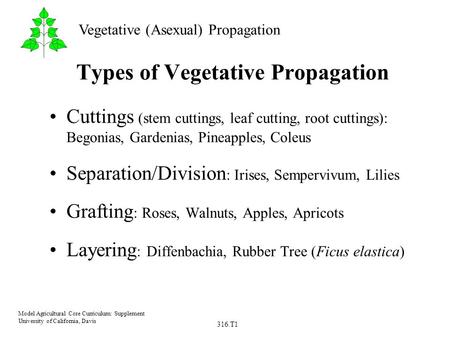 316.T1 Model Agricultural Core Curriculum: Supplement University of California, Davis Vegetative (Asexual) Propagation Types of Vegetative Propagation.
