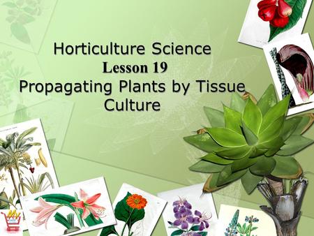 Horticulture Science Lesson 19 Propagating Plants by Tissue Culture