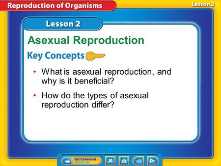 Asexual Reproduction What is asexual reproduction, and why is it beneficial? How do the types of asexual reproduction differ? Lesson 2 Reading Guide.