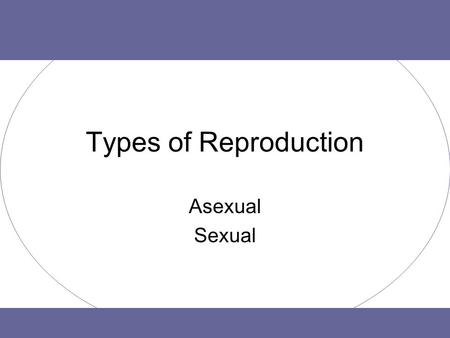 Types of Reproduction Asexual Sexual. Purpose of Reproduction To make sure a species can continue. –Definition: Reproduction is the process by which an.